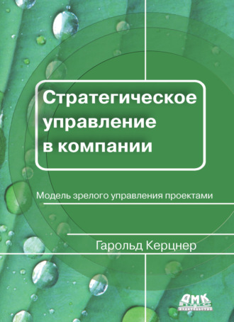 Стратегическое управление в компании