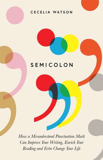 Semicolon: How a misunderstood punctuation mark can improve your writing, enrich your reading and even change your life