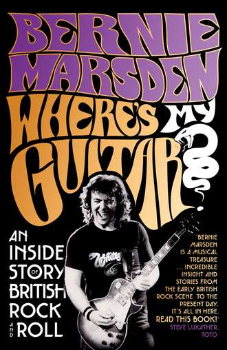 Where’s My Guitar?: An Inside Story of British Rock and Roll