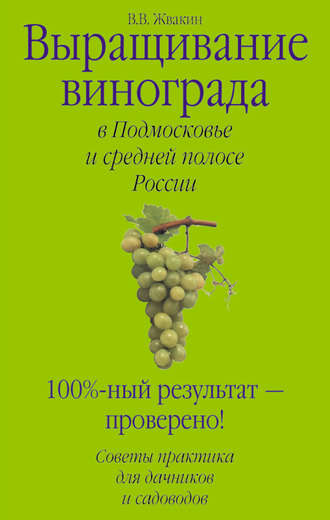 Выращивание винограда в Подмосковье и средней полосе России