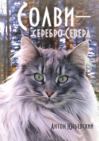 Солви - серебро Севера