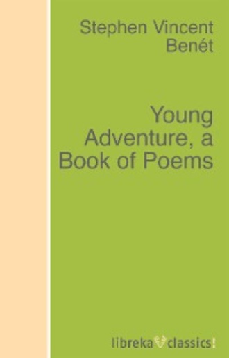 Young Adventure, a Book of Poems