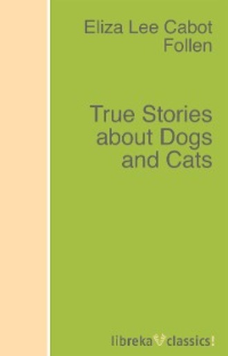 True Stories about Dogs and Cats