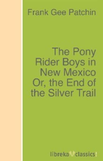 The Pony Rider Boys in New Mexico Or, the End of the Silver Trail