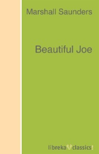 Beautiful Joe