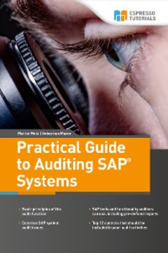 Practical Guide to Auditing SAP Systems