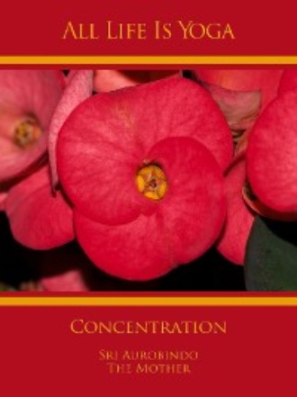 All Life Is Yoga: Concentration