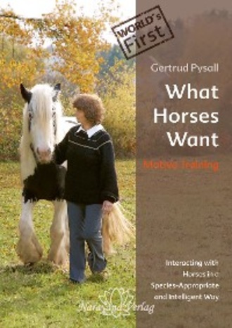 What Horses Want