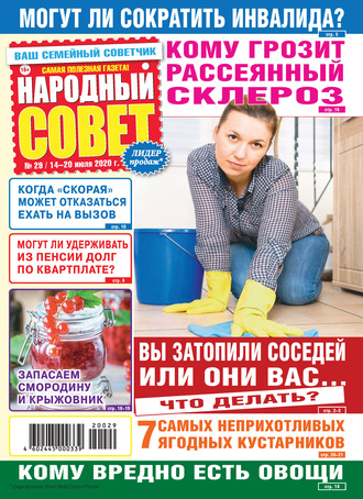 Народный совет №29/2020