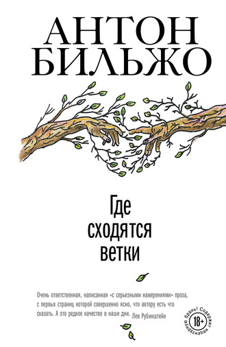 Где сходятся ветки