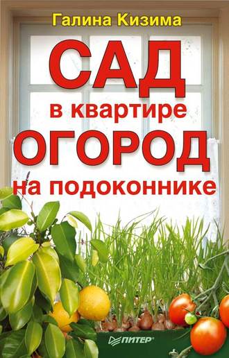 Сад в квартире, огород на подоконнике