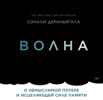 Волна. О немыслимой потере и исцеляющей силе памяти