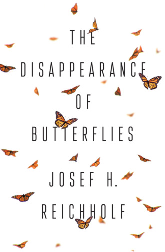 The Disappearance of Butterflies