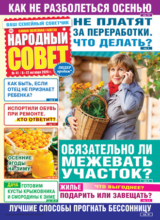 Народный совет №41/2020