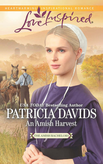 An Amish Harvest