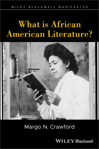 What is African American Literature?