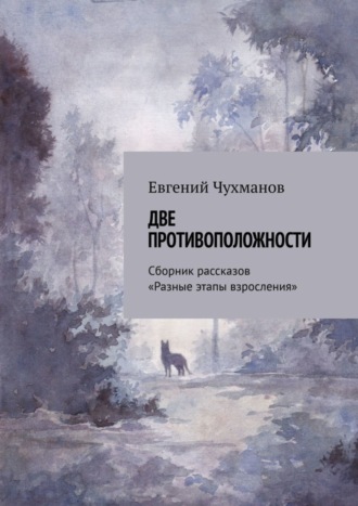 Две противоположности. Сборник рассказов «Разные этапы взросления»