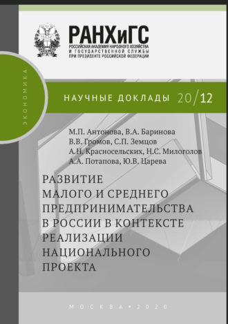 Развитие малого и среднего предпринимательства в России в контексте реализации национального проекта