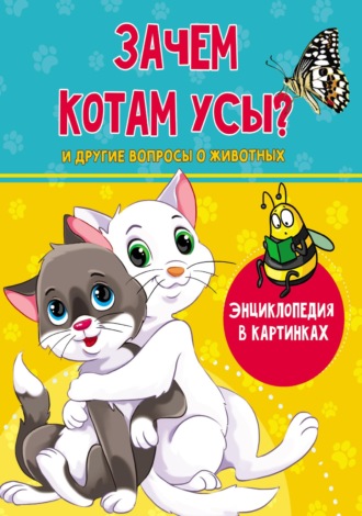 Зачем котам усы?