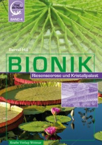 Bionik