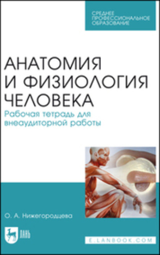 Анатомия и физиология человека. Рабочая тетрадь для внеаудиторной работы