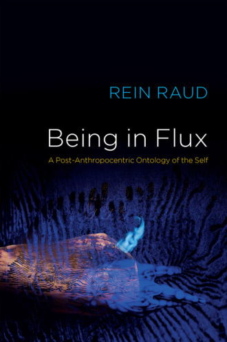 Being in Flux