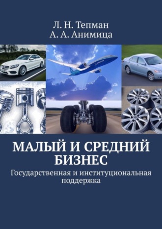 Малый и средний бизнес. Государственная и институциональная поддержка