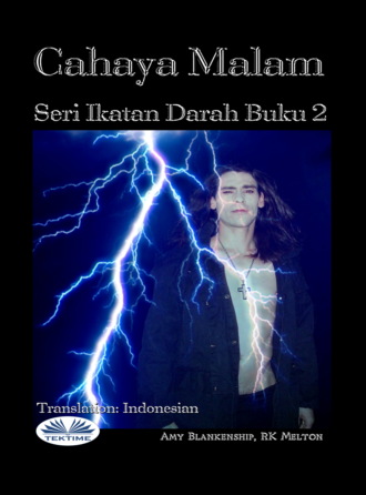 Cahaya Malam (Ikatan Darah Buku 2)