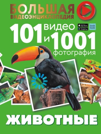 Животные. 101 видео и 1001 фотография