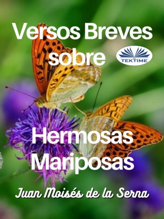 Versos Breves Sobre Hermosas Mariposas