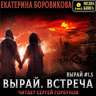 Вырай 1.5. Встреча