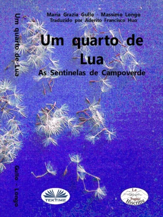 Um Quarto De Lua