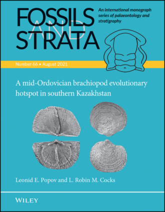 A Mid-Ordovician Brachiopod Evolutionary Hotspot in Southern Kazakhstan