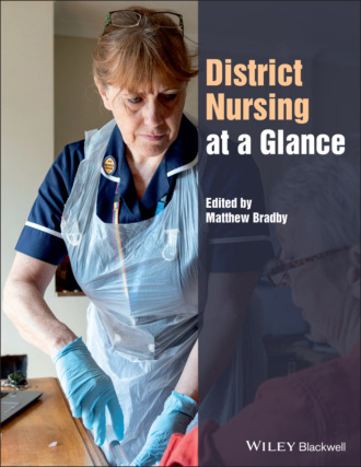 District Nursing at a Glance