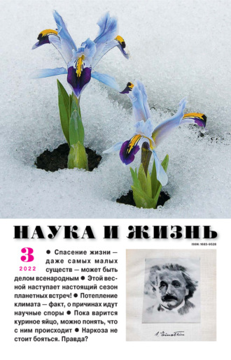 Наука и жизнь №03/2022