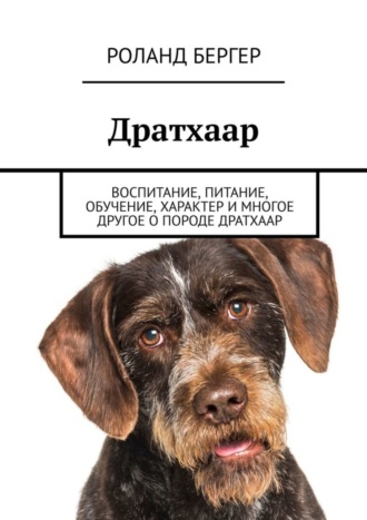 Дратхаар. Воспитание, питание, обучение, характер и многое другое о породе дратхаар