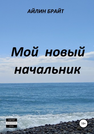 Мой новый начальник