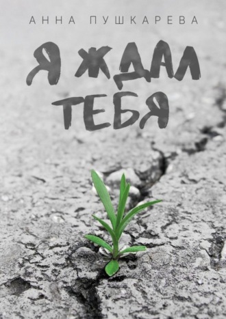 Я ждал тебя…