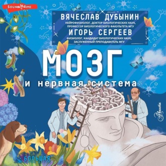 Мозг и нервная система