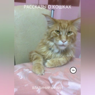 Рассказы о кошках