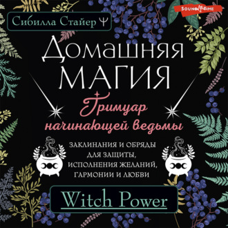 Домашняя магия. Гримуар начинающей ведьмы. Заклинания и обряды для защиты, исполнения желаний, гармонии и любви