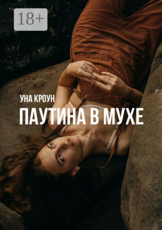 Паутина в мухе