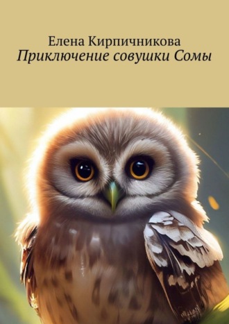 Приключение совушки Сомы. Эта прекрасная сказка про маленькую совушку Сому, которая очень любит путешествовать