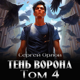 Тень Ворона – 4