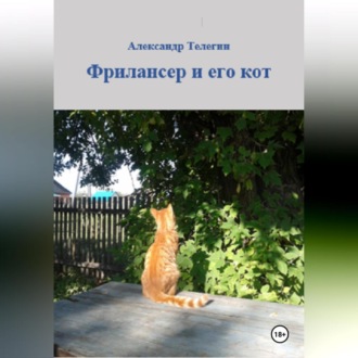 Фрилансер и его кот