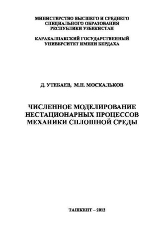 Численное моделирование нестационарных процессов механики сплошной среды