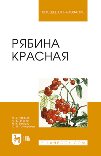 Рябина красная