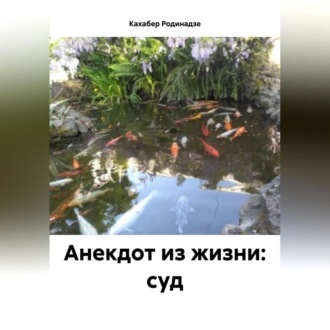 Анекдот из жизни: суд