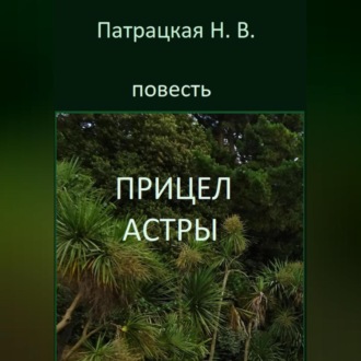 Прицел астры