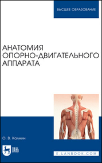 Анатомия опорно-двигательного аппарата. Учебное пособие для вузов